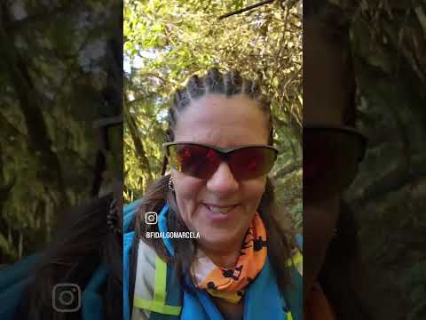 miradores , san francisco jujuy , yungas , junio 2026