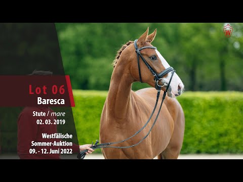 Sommer-Auktion Lot  06 Baresca Stute v. Benicio - Rousseau
