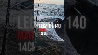 マリア レガートF140 - もうすぐ発売！待望のレガートダウンサイジングモデル #マリア #レガートF140 #ロックショア