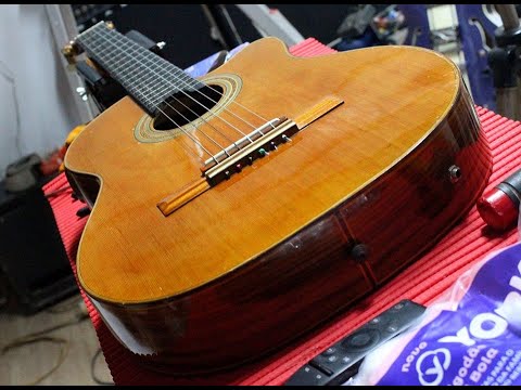 Papo do Luthier - Violão - Giannini - GWNFLE - Andrea Sousa