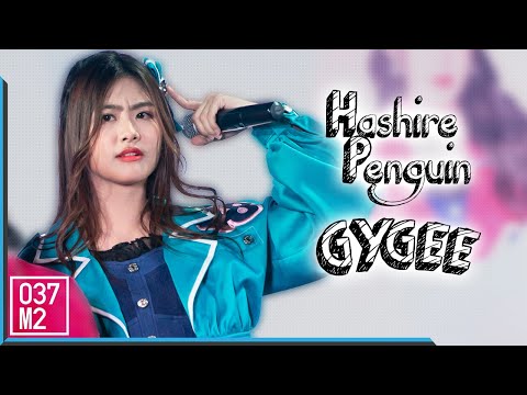 200823 BNK48 Gygee - Hashire Penguin (วิ่งไปสิ...เพนกวิน) @ Road Show Chaeng Wattana [Fancam 4K60p]