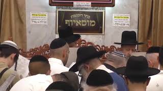 יום הכיפורים שחל בשבת-הכנה ליום הכיפורים תשרי תשפה