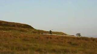 preview picture of video 'Short Eared Owl over Rivington Moor'