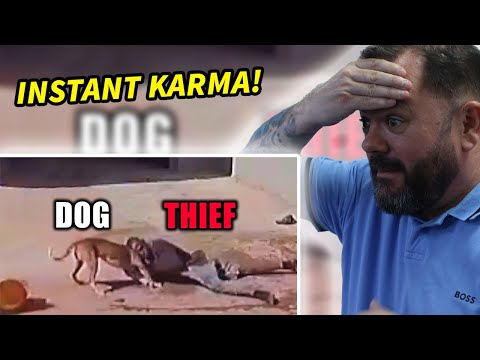 BRITS React to Thieves Disappointed When Encountering Dogs! - Instant Karma