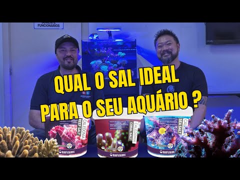 What is the ideal salt for my Marine Aquarium?