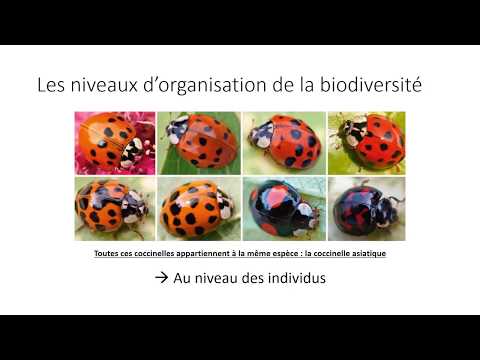 La diversité du monde vivant