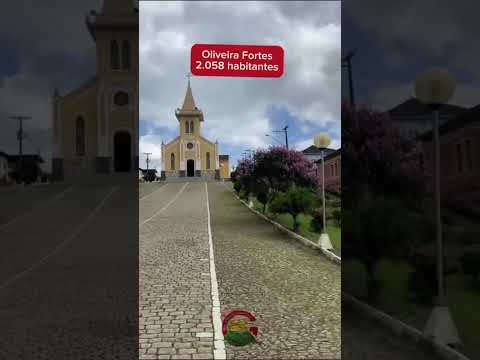 9 Cidades Mineiras da Zona da Mata - MINAS GERAIS