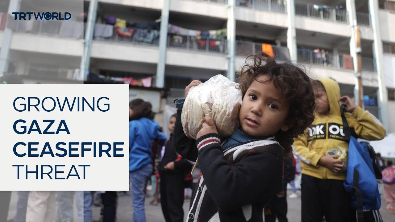 Calls grow for Israeli withdrawal as Gaza violence escalates