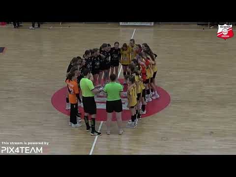 8. Spieltag Regionalliga Sachsen wD (Meisterrunde) - BSV Sachsen Zwickau gegen HC Rödertal