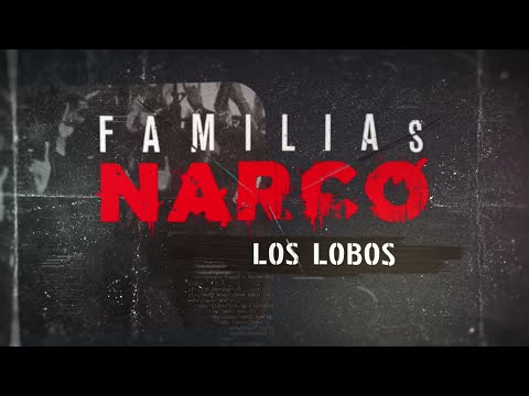Familias Narco: Los Lobos | Especiales DNews