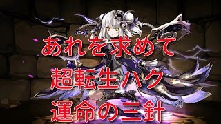 【実況パズドラ】強くて可愛い！超転生ハク　運命の三針