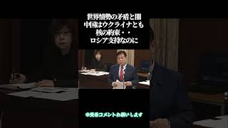 世界情勢の矛盾と闇・・中国はウクライナとも核の約束・・ロシア支持なのに＃高市早苗#自民党 #国民民主党 ＃参政党 #政治  ＃立憲民主党#国会＃竹田恒泰