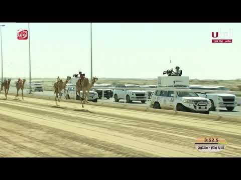 ش 1 الشلفا (الشندقة) لـ سعيد جابر عبدالله الحربي 11:58:91 , مهرجان الأمير الوالد 2026/2/10 ثنايا