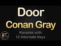 Conan Gray Door Karaoke Instrumental Lower Higher Female Original Key