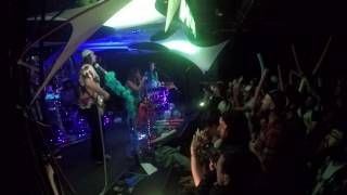 Ginger Ale And The Monowhales Bite The Horseshoe