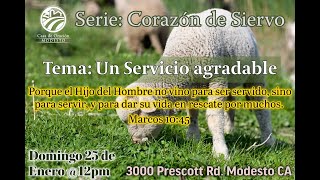 Un Servicio agradable