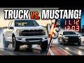 F 150 Raptor Vs Ford Mustang The Ultimate Quarter Mile Showdown