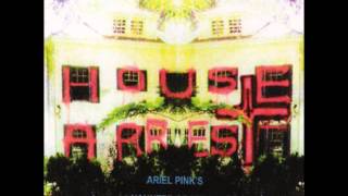 Ariel Pink's Haunted Graffiti - Higher And Higher