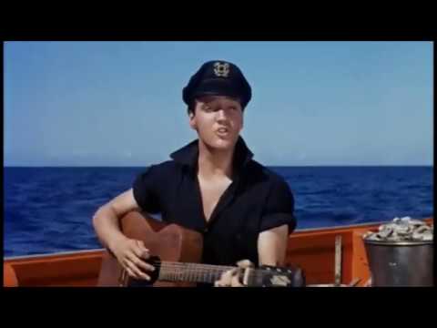 Video thumbnail for Song of the Shrimp