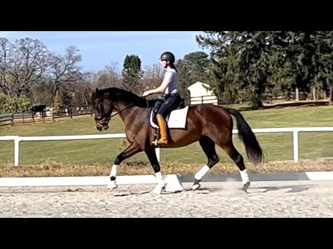 2020 Vivino mare 3/25