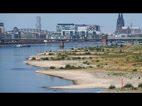 Germany: River Rhine water levels could fall to critical low