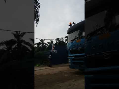 Main Body BG36(MUGEN)