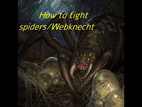 How to fight Spiders Battle Brother basics