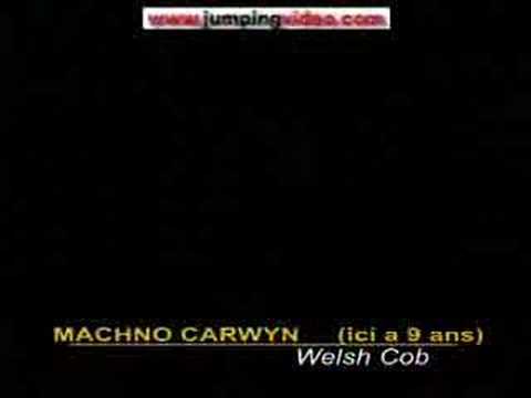 Machno carwyn