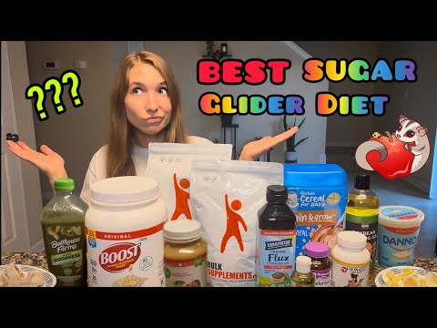Ultimate Sugar Glider Diet Guide: Hidden Secrets for Healthier, Happier Gliders!