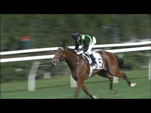 9/3/2022 (489) Nervous Witness - Z Purton