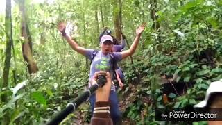 preview picture of video 'Hiking TNGL jalur air terjun supia pamah semelir kabupaten langkat'