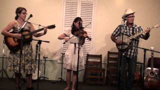 DillBillies Rise When the Rooster Crows