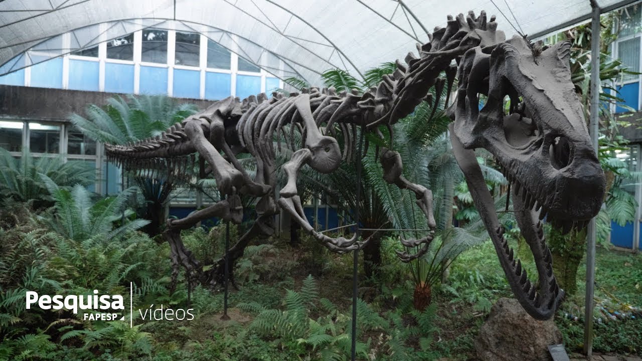 Dinosaurs probably originated in Southern Brazil