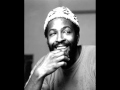 Marvin Gaye - Anna's song 
