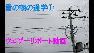 2019/01/22 ウェザーリポート動画【雪の日の通学①】＠福島県福島市/07:30頃