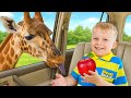 Oliver At The Safari Fun Educational Adventures For Kids