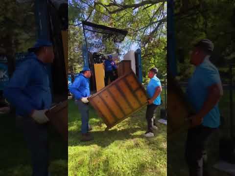 JunkDoctors furniture removal video thumbnail in New Jersey