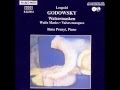 Godowsky: Silhouette (Fr.L.) - Allegro Impetuoso - Ilona Prunyi (piano)