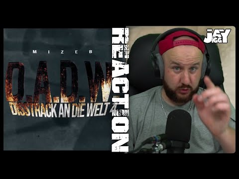 Krasse Atmosphäre 💪🏻 MiZeb - DISSTRACK AN DIE WELT 4 | REACTION