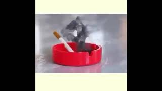 Download lagu Story wa asap rokok 'DJ' mp3