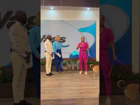 Dogs cannot eat bones,#animaldoctor #vetcare #vettech #puppy #petlovers