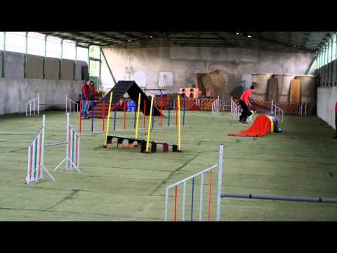 Grace - Ratenice - 28. 2. 2015