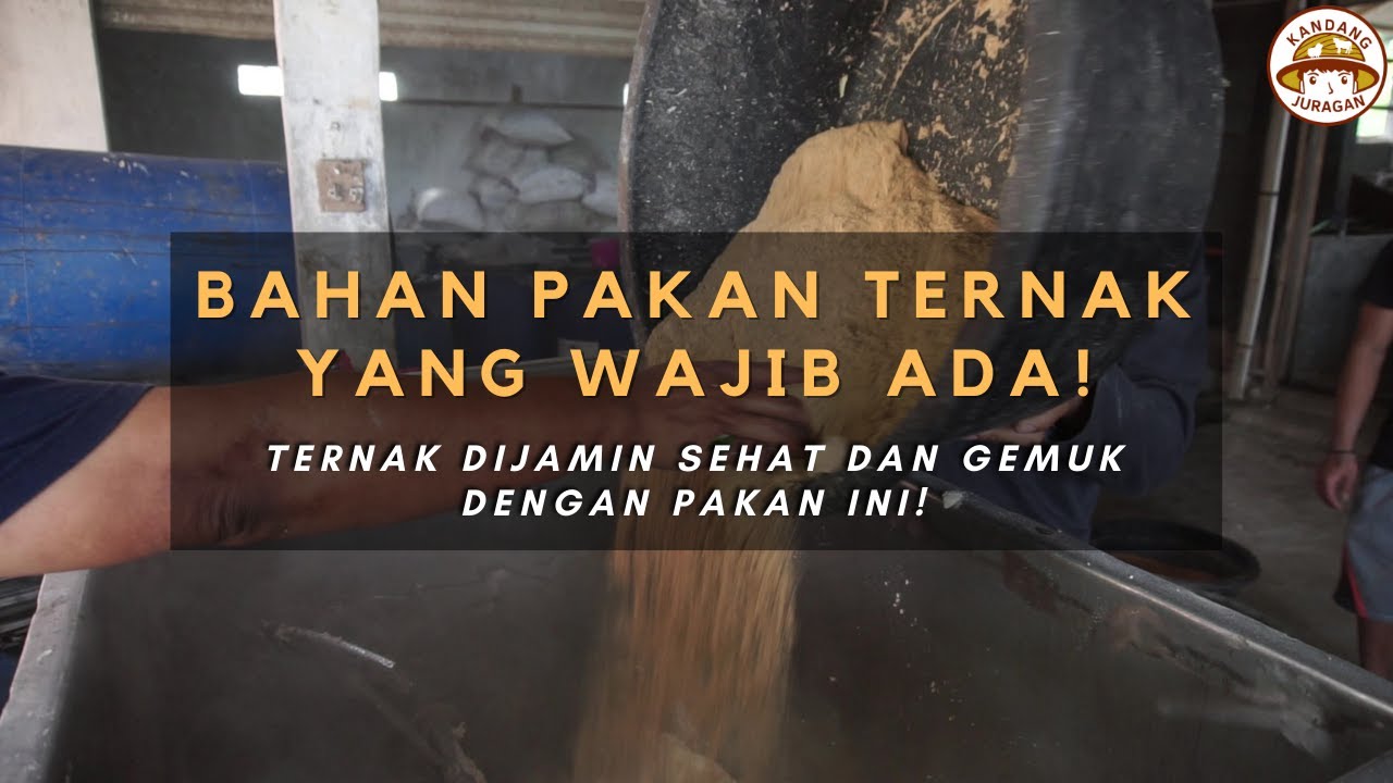 SUMBER UTAMA NUTRISI PAKAN TERNAK! Ternak Dijamin Sehat dan Gemuk! Protein Karbohidrat Lemak