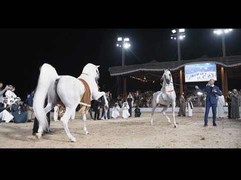 KIAHF 2023 - The Official Aftermovie