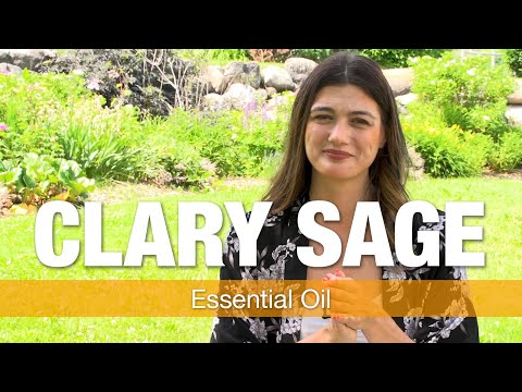 Clary Sage Essential Oil: An Oil For Women's Health