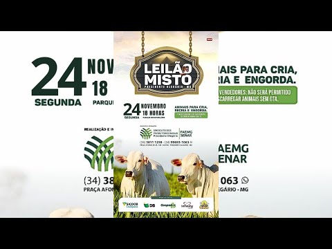 LEILÃO MISTO - SIND. RURAL DE PRESIDENTE OLEGÁRIO 24/11/2025