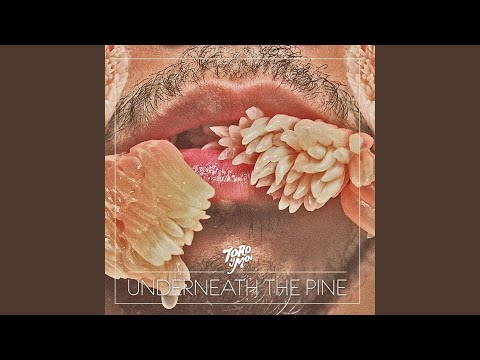Go With You - Toro Y Moi