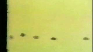 The Letter People TV 23 Meet Mister G