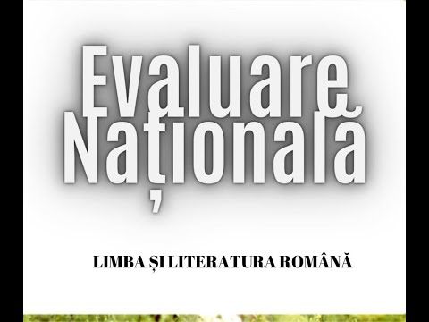 NUMERALUL ÎN GRAMATICA ACTUALĂ