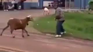 Tagaru banthu tagaru| Real Tagaru| ViksyTrolls